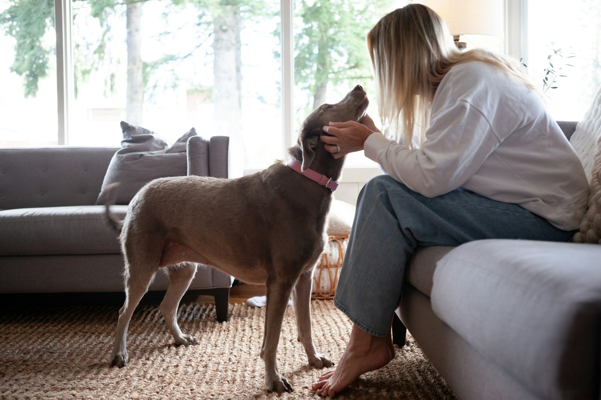 A woman on her living-room sofa with her dog looking up at her